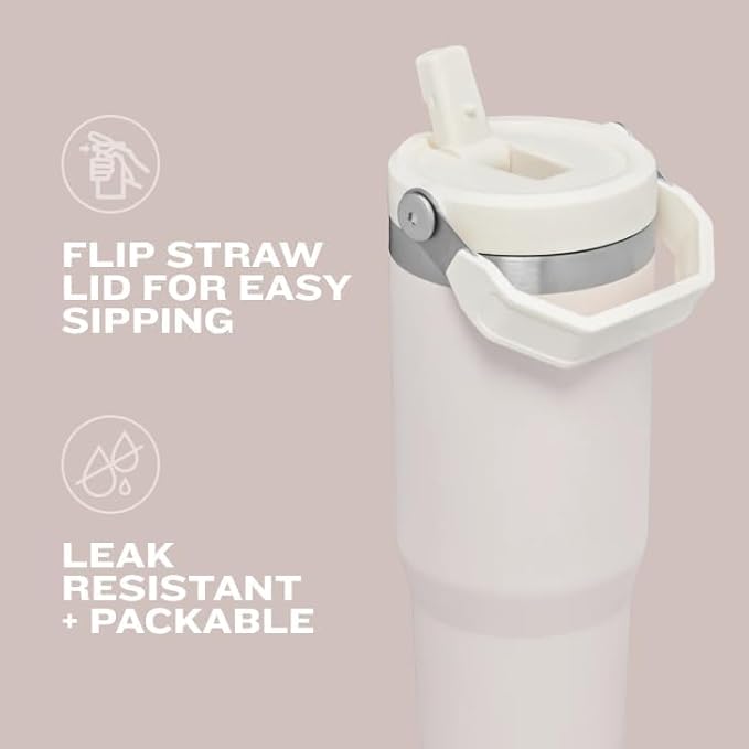 STANLEY IceFlow 2.0 Flip Straw Tumbler with Handle 20 oz | Twist On Lid and Flip Up Straw | Leak Resistant Water Bottle | Insulated Stainless Steel | BPA-Free | Lilac