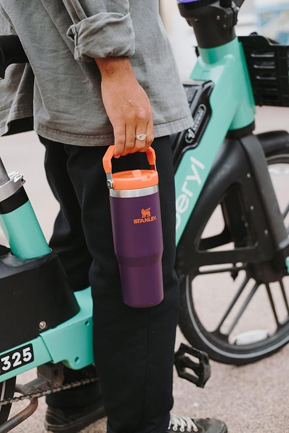 STANLEY IceFlow 2.0 Flip Straw Tumbler with Handle 30 oz | Twist On Lid and Flip Up Straw | Leakproof Water Bottle | Insulated Stainless Steel | BPA-Free | Daffodil