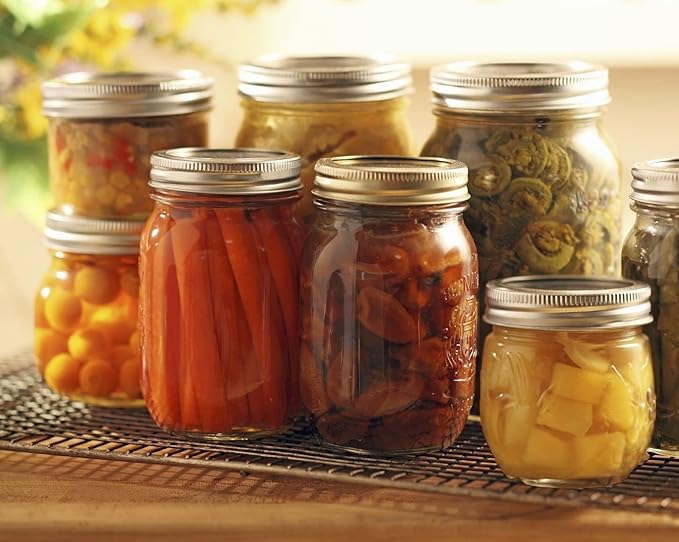 DalzomĀ® 24Pcs Canning Lids with 24Pcs Rings Regular Mouth, Premium Mason Jar Lids with Bands/Rings for Ball, Kerr Jars - Food Grade Material, 100% Fit & Airtight for Regular Mouth Mason Jars