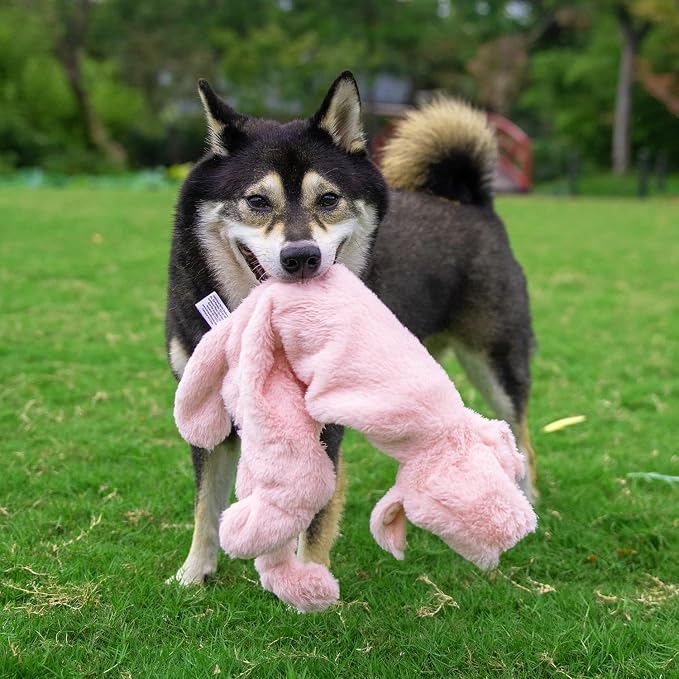 Best Pet Supplies Squeaky Dog Toys with Soft Durable Fabric for Small, Medium and Large Pets Interactive Toy for Indoor Play, Supports Active Biting and Play - Hare, Pig, Large