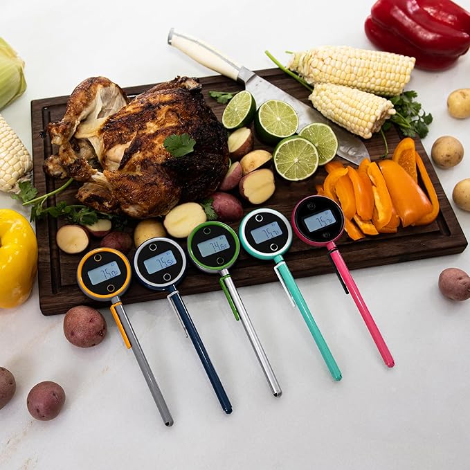 Pocket Pro 1-Second Instant Read Digital Meat Thermometer Rechargeable for Grilling, Food, BBQ, Kitchen Cooking, Oil Deep Frying & Candy (Boudoir)