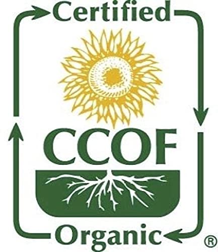 McCabe Organic Barley Flour - Barley Flour for Cooking and Baking | Rich in Fiber | USDA and CCOF Certified | Product of USA | 2 lbs (32 Oz) Pack of 2