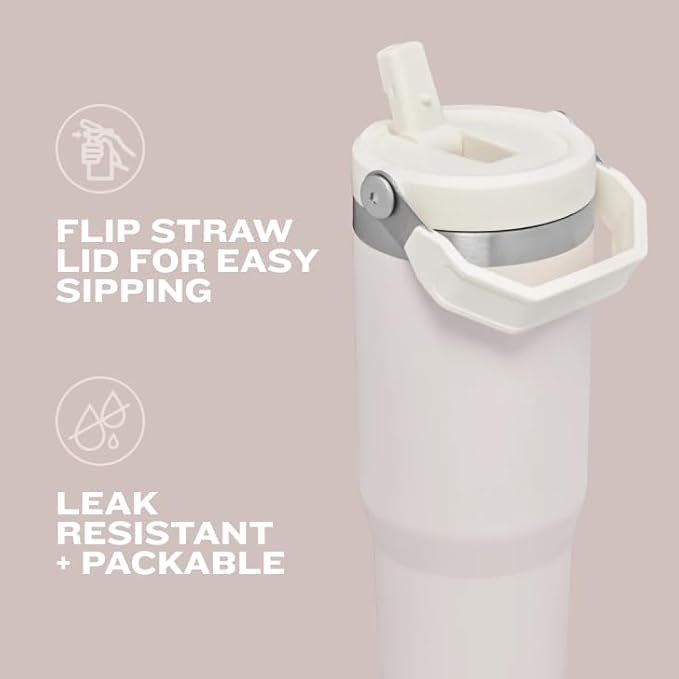 STANLEY IceFlow 2.0 Flip Straw Tumbler with Handle 20 oz | Twist On Lid and Flip Up Straw | Leak Resistant Water Bottle | Insulated Stainless Steel | BPA-Free | Twilight