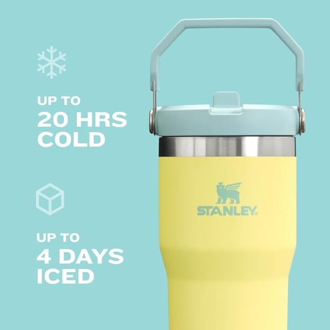 STANLEY IceFlow 2.0 Flip Straw Tumbler with Handle 30 oz | Twist On Lid and Flip Up Straw | Leakproof Water Bottle | Insulated Stainless Steel | BPA-Free | Pink Mesa