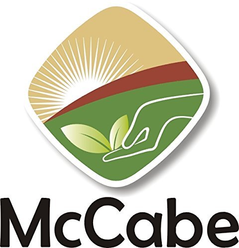 McCabe Organic Roasted Corn Tea | USDA & CCOF Certified | Non-GMO Whole White Corn | Roasted & Packed in USA | 1.5 lbs (24 Oz) Pack of 2