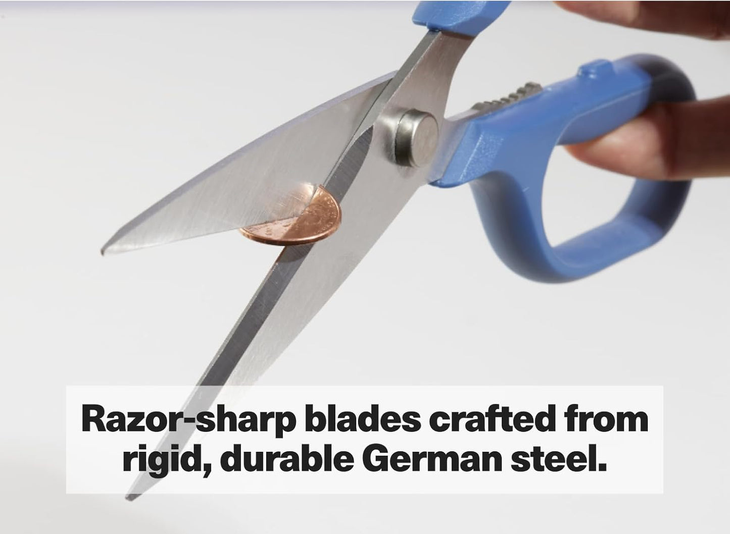 Misen Heavy Duty Kitchen Shears - Comfortable Ambidextrous Scissors for Meat, Poultry, Herbs & More - Easy to Clean - German Stainless Steel - Small | Blue