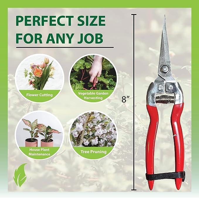 Garden Guru Straight Stainless Steel Pruner Pruning Shears Clippers Snips Sharp Bonsai Cutter Plant Trimming Scissor Straight Blade Garden Scissors Tool -Great for Roses Flowers Herbs Fruits (4 Pack)