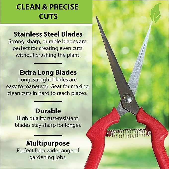 Garden Guru Straight Stainless Steel Pruner Pruning Shears Clippers Snips Sharp Bonsai Cutter Plant Trimming Scissor Straight Blade Garden Scissors Tool -Great for Roses Flowers Herbs Fruits (2 Pack)