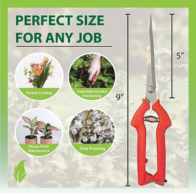 Garden Guru Extra Long Stainless Steel Pruner Pruning Shears Clippers Snips Sharp Bonsai Cutter Plant Trimming Scissors Straight Blade Garden Scissors Tool Great for Roses Flowers Herbs Fruits(2 Pack)