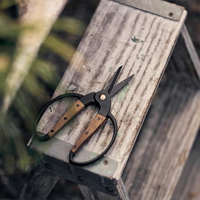 Barebones Garden Scissors - Walnut Scissors - Garden Supplies and Indoor Plant Accessories - Plant Shears with Wide Handles - Comfortable Fit Trimming Shears (Small)