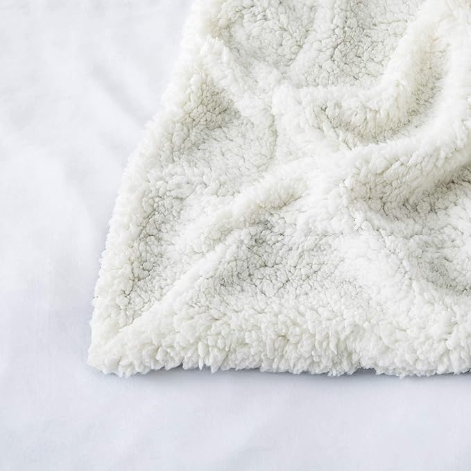 IR Imperial Rooms Sherpa Blankets Queen Size - Thick and Warm Blankets for Winter, Reversible Soft and Fuzzy Fluffy Queen Size Blanket for Bed, Emerald Green, 90x90 Inches