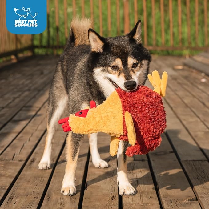 Best Pet Supplies Interactive Squeaky Dog Chew Toy, Ideal Dog Toys for Chewers, Small, Medium & Large Dogs, and Fetch Lovers - Crinkle Chicken (Wine Red), Large