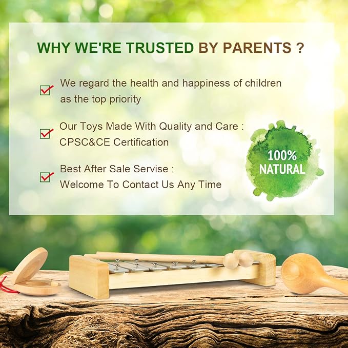 LOOIKOOS Toddler Musical Instruments, Eco Friendly Music Set for Kids Preschool Educational, Natural Wooden Percussion Instruments Musical Toys for Boys and Girls with Storage Bag