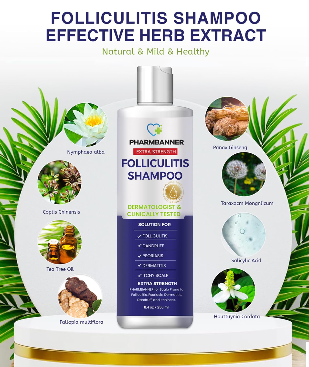 Anti-Fungal Shampoo for Itchy, Dry Scalp – Supports Scalp Health, Helps with Folliculitis, Seborrheic Dermatitis & Scalp Flaking-2 Pack
