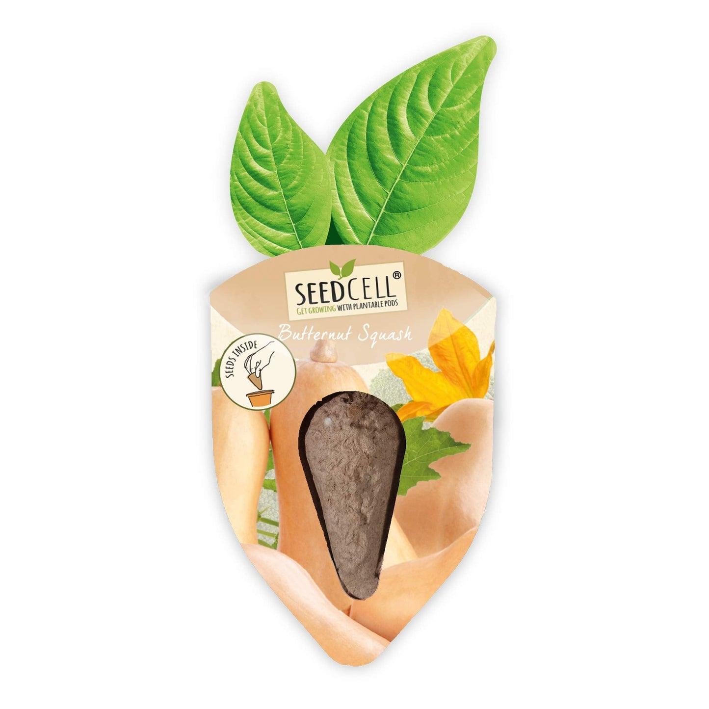 Vegtrug Seed Pods Kit - Vegetable Patch, Non-GMO Seeds with Fully Biodegradable Seed Pods, Contains Seeds of Broccoli, Zucchini, Pumpkin, and Butternut Squash, Pack of 1