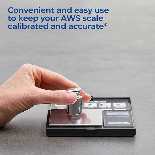 American Weigh Scales Calibration Weight for AWS Digital Scale, Carbon Steel, Solid Stainless Steel Chrome Finish, 100g (100WGT)