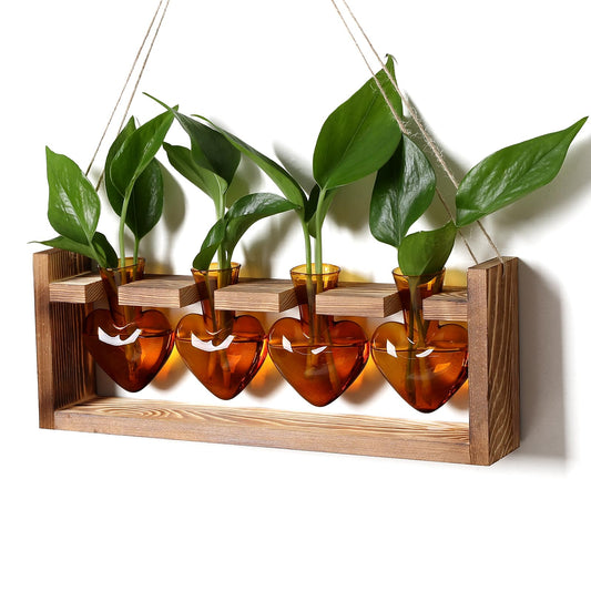 CYZglass Plant Propagation Stations Heart Plant Terrarium Kit Gift for Women Plant Lover Glass Vases