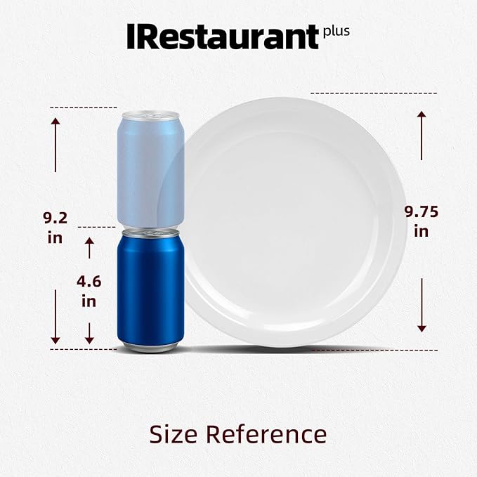 Stoneware Narrow Rim Commercial Grade Dinnerware (Bright White, Plate 9 5/8")