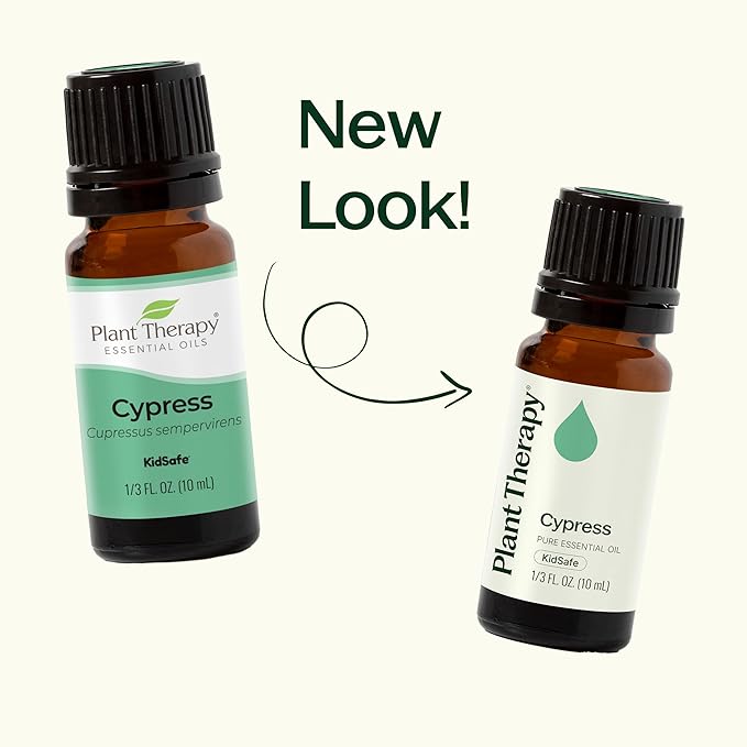 Plant Therapy Cypress Essential Oil 100% Pure, Undiluted, Natural Aromatherapy for Diffuser & Skin, Therapeutic Grade 10 mL (1/3 oz) Cypres Oil Refreshing & Clearing