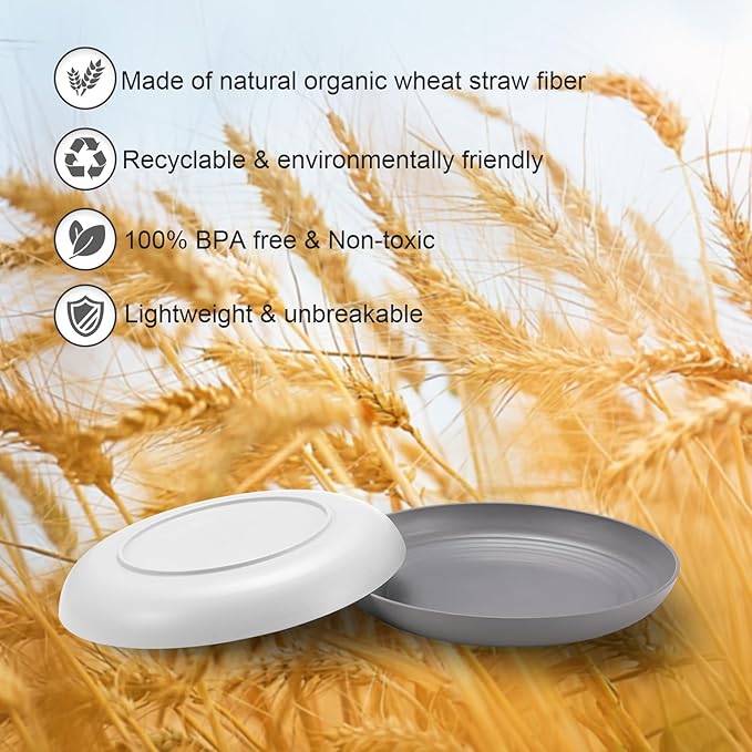 12 Pcs Unbreakable Deep Dinner Plates Set, 9 inch Reusable Plastic Wheat Straw Plates, Microwave and Dishwasher Safe Plate for Kitchen, Lightweight Plate for Dessert, BPA Free, Dark Gray