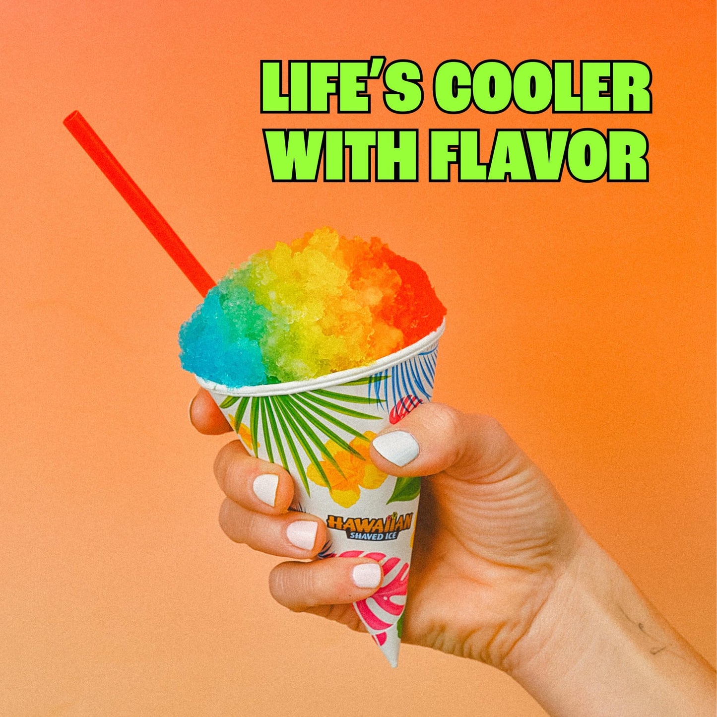 Hawaiian Shaved Ice Syrup 6 Flavor Assortment bundled with Hawaiian Shaved Ice Mini Snow Cone Machine
