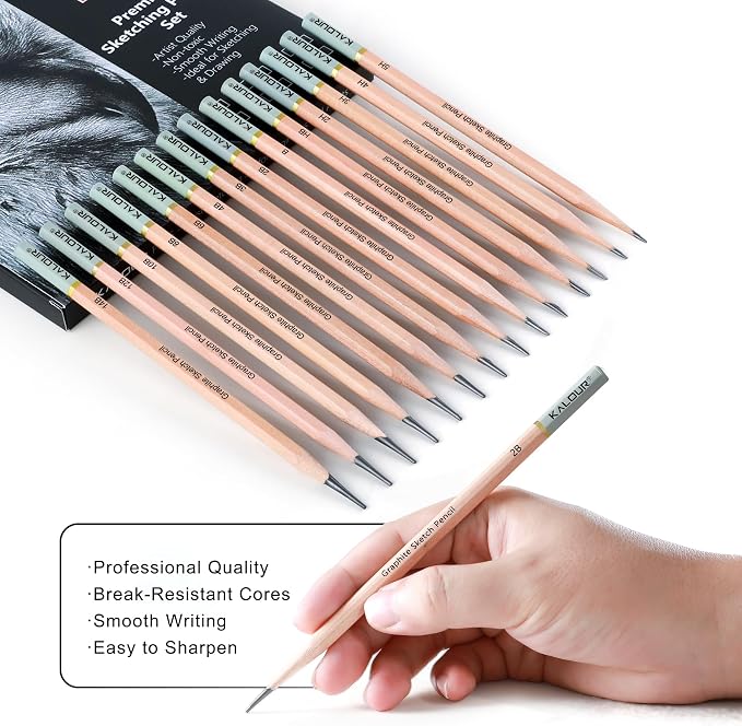 KALOUR 18-Piece Professional Sketch Pencil Set - Includes 5H to 14B Pencils, Vinyl Eraser, Kneaded Eraser,Sharpener and Paper Blending Stump - Ideal for Artists and Beginners