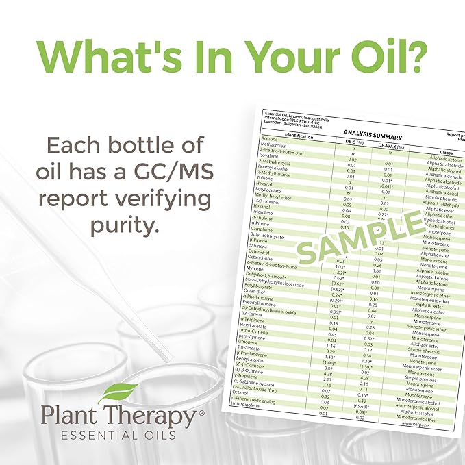 Plant Therapy Niaouli 1,8-Cineole Essential Oil 10 mL (1/3 oz) 100% Pure, Undiluted, Therapeutic Grade