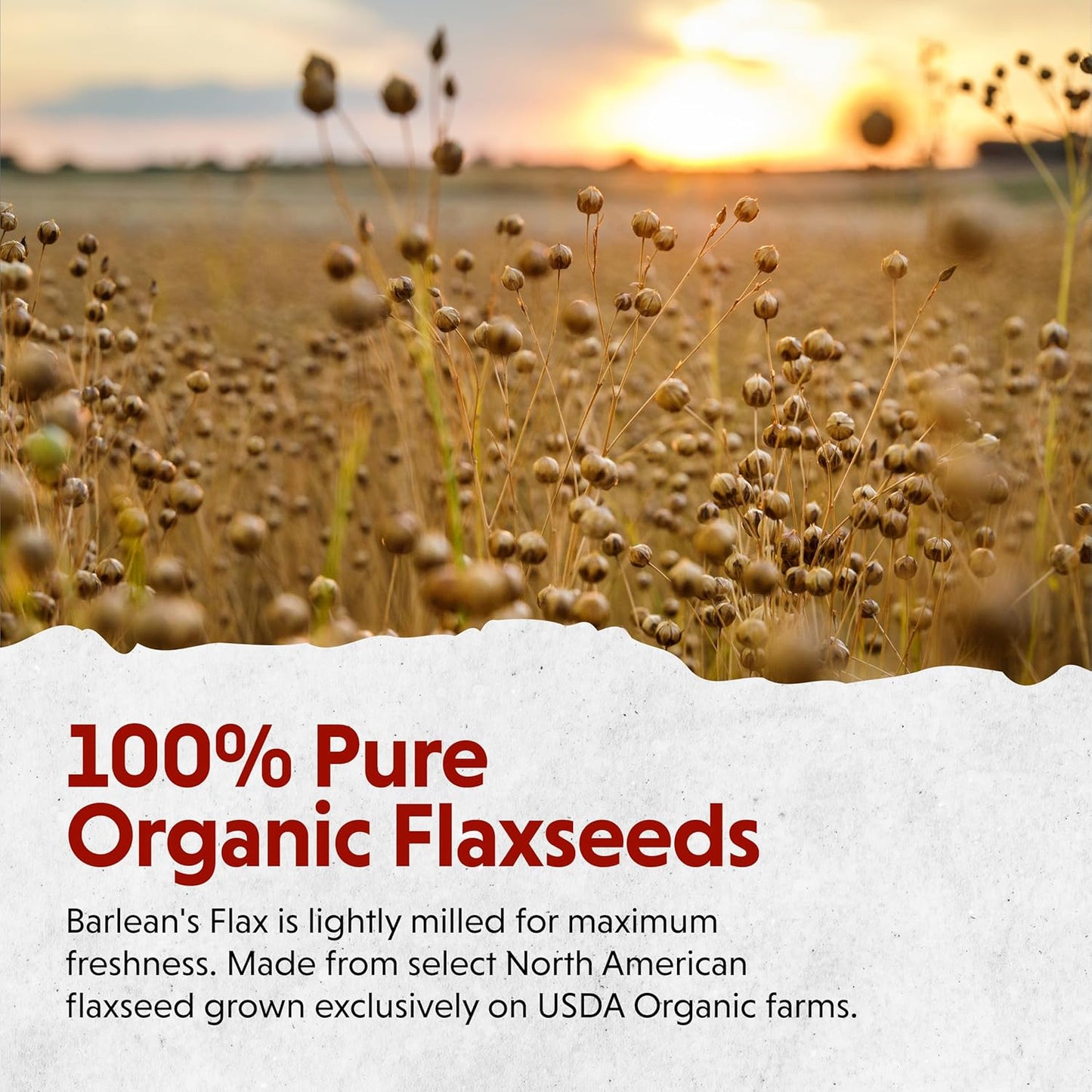 Barlean's Forti-Flax Organic Flaxseed, Ground Whole Raw Seeds, Omega-3 Supplement with Lignans and Dietary Fiber, Bulk Ground Flax Seed, 16 oz, 2 Pack