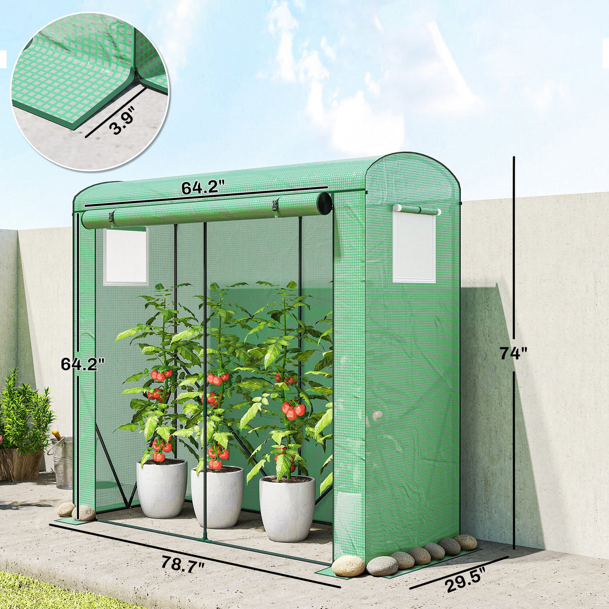 Mini Greenhouse, Portable Greenhouse with Roll-Up Door and 2 Mesh Windows, PE Cover, 78.7" x 29.5" x 74", Green